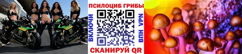 Псилоцибиновые грибы прущие грибы  Няндома 